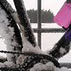 IMG 20250110 114354