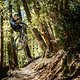 PROPAIN-Tyee-6-1-CF-MY25-eignerframes DSC9649