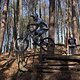 Bike Beerfelden P 344