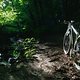 IMG 0688