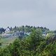 DSC 0096