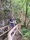 Lieserpfad;Eifel
