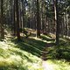 Birklergrund (1)