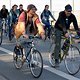 Critical Mass 1804 3895a