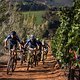 Frederick Rossouw &amp; Juan Jose  Leal De la Peña climb up through Tokara vineyards during stage 6 of the 2019 Absa Cape Epic Mountain Bike stage race from the University of Stellenbosch Sports Fields in Stellenbosch, South Africa on the 23rd March 2019