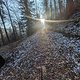 Dachswald Trails