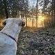 Wanderung