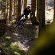 Schwalbe Clik Valve Specialized Stumpjumper 2025 PSturm-22