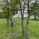 IMG 5998