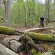 FranztrailSkinny1stride#2
