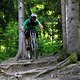 drop in
