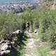 IMG 2682
