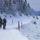 IMG 2735