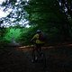 DSCF3685 1286822288