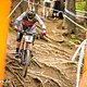 Greg Minnaar in den Wurzeln