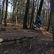 IMG 1746