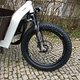 Specialized Big Roller Sport 20x1.80 im Riese Müller Packster Touring
