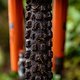Devinci - Evan Wall Video Project 2022 - Liam Wallace LOW RES-08328
