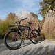 L1000053 (MTB-News)