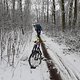 Winterpokal-Aktivität