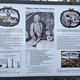 IMG 5484
