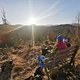IMG 20250320 171804
