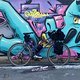 Lady&#039;s Bike Tourentauglich