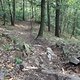 DSC00433