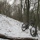 IMG 0071