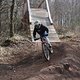 IMG 7245