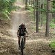 20110515 bza 858.jpg 800x600