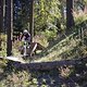 Bikepark Winterberg