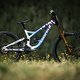 Saracen-Williamson-2473