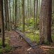BC Squamish - Mark my Word