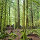 BC Squamish - Trestle Trail