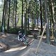IMG 8905