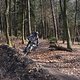 Bike Beerfelden P 401