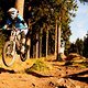 Braunlage Freeride