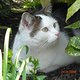CIMG0090