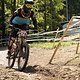 IMG 3730