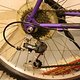 IMG 3746