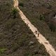 Landscape with riders on jeep track during stage 3 of the 2019 Absa Cape Epic Mountain Bike stage race held from Oak Valley Estate in Elgin, South Africa on the 20th March 2019.

Photo by Xavier Briel/Cape Epic

PLEASE ENSURE THE APPROPRIATE CRED