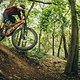 Specialized Epic EVO 2021-74