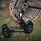 SingleBe - NoisyBee - Custom 29er