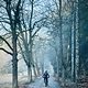 Winterpokal-Aktivität