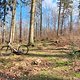 Gravel - Köfi &amp; Gammersbach Tal