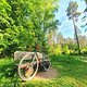 Mai-Wald-Crossen