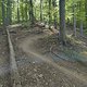 Gratis Wurzeltrail