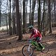 Bike Beerfelden P 063