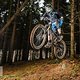 FreeRide - &quot;Wurzeltrail&quot;